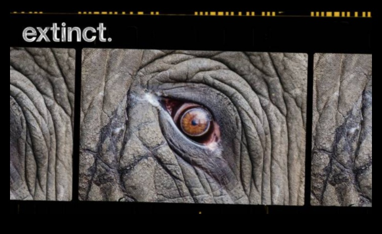 Kā ainavas veicina apdraudēto sugu saglabāšanu?