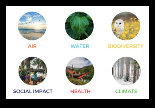 Kā dažādas koku sugas veicina ainavu bioloģisko daudzveidību?