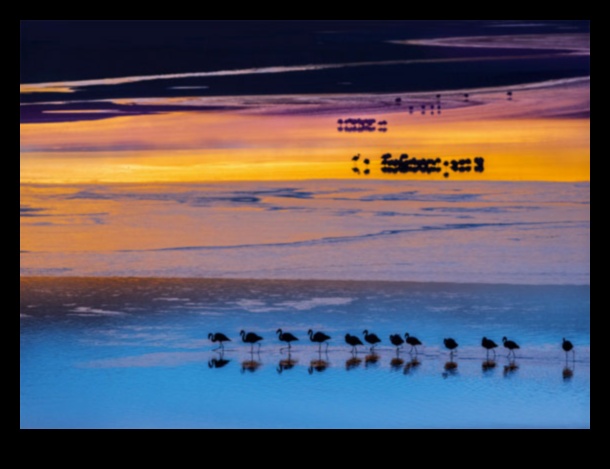 Krēsla un rītausma: krēslas pārejas ainavu fotogrāfijā