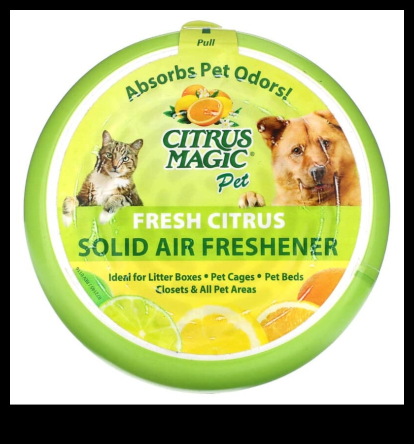 Citrusaugļu maģija: Atklājiet labsajūtas noslēpumus katrā burkānu-apelsīnu sulas malkā