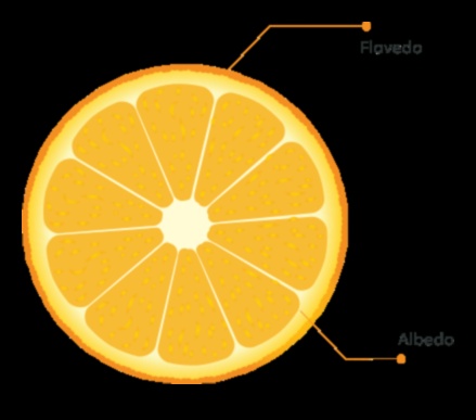 Citrusaugļu maģija: Atklājiet labsajūtas noslēpumus katrā burkānu-apelsīnu sulas malkā