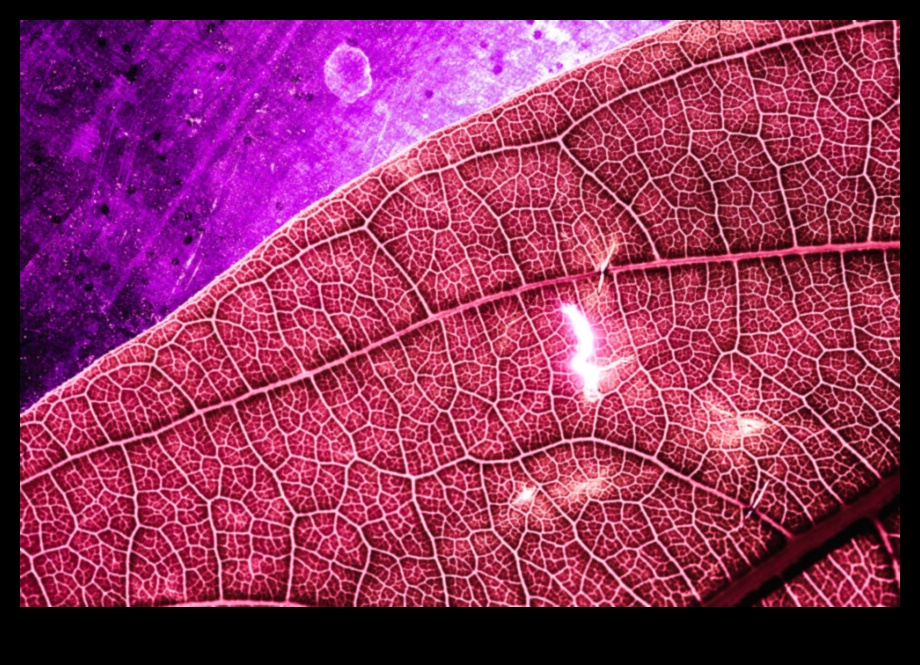 Mikrokosmiskā simfonija: vizuālu šedevru komponēšana ar makroobjektīviem