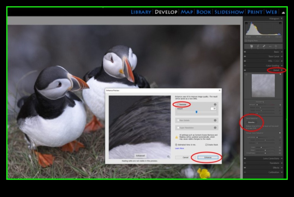 Rediģēšanas izcilība: pēcapstrādes apguve apmācībās