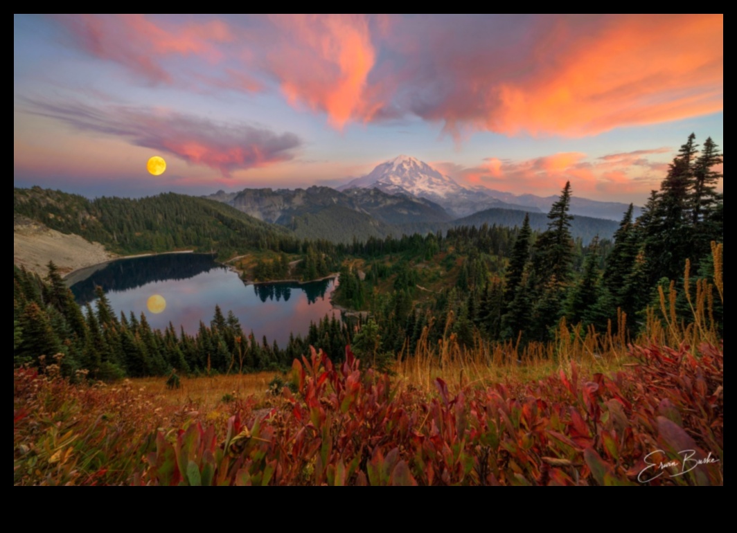 Sapņu audekls: izteiksmīga ainavu fotogrāfija, kas iedvesmo