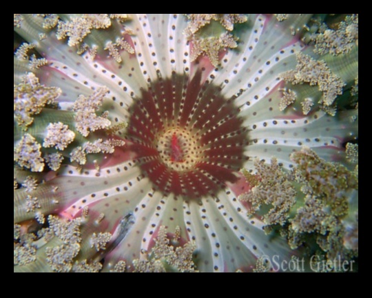 Kadrs pa kadram: atklātas padziļinātas kompozīcijas apmācības