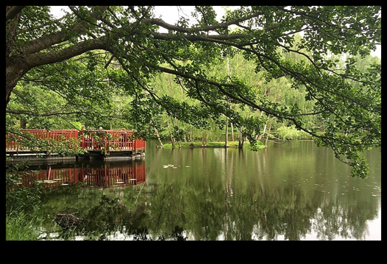 Kādu lomu pilsētas mitrājiem spēlē pilsētas ainavu uzlabošanā?