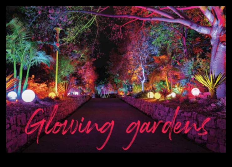 Kvēlojoši dārzi: apgūstiet paņēmienus ziedu skaistuma izgaismošanai