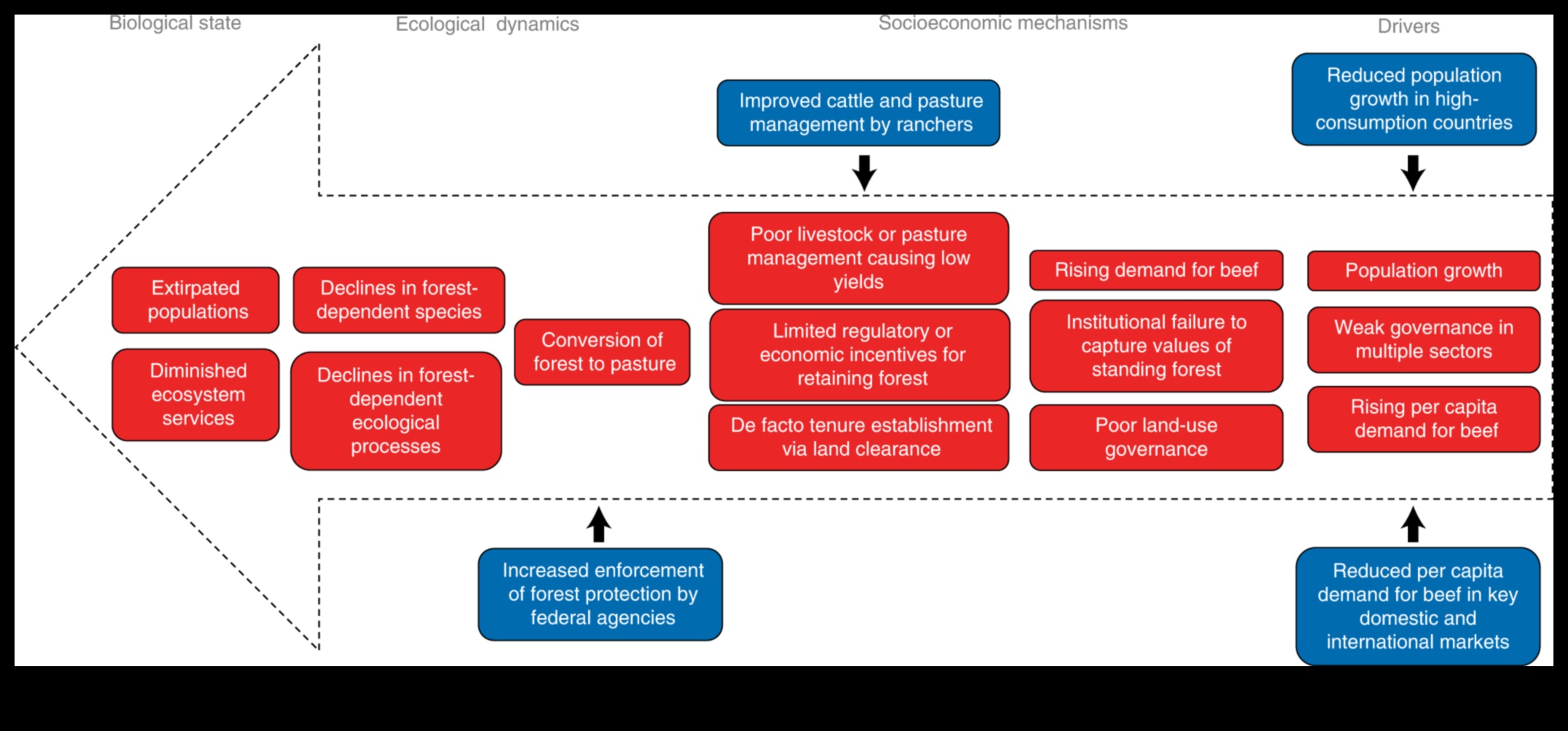 Bioloģiskās daudzveidības robežas II: aizsargājamo teritoriju atklāšana visā pasaulē, turpinājums