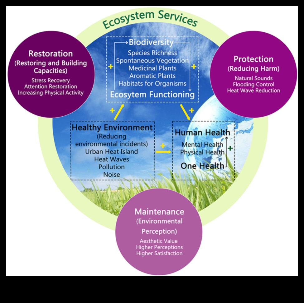Bioloģiskās daudzveidības robežas II: aizsargājamo teritoriju atklāšana visā pasaulē, turpinājums