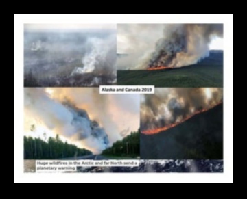 Kāda ir klimata pārmaiņu ietekme uz tropu ainavu saglabāšanu?