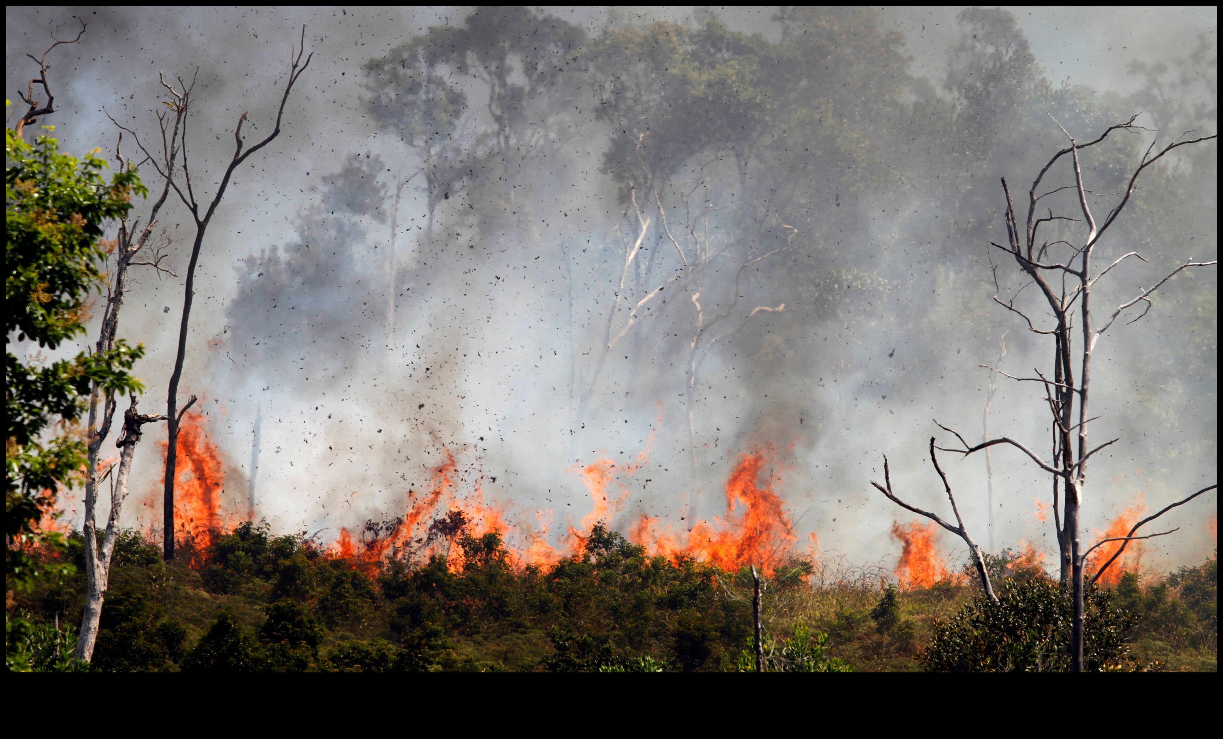 Kāda ir klimata pārmaiņu ietekme uz tropu ainavu saglabāšanu?