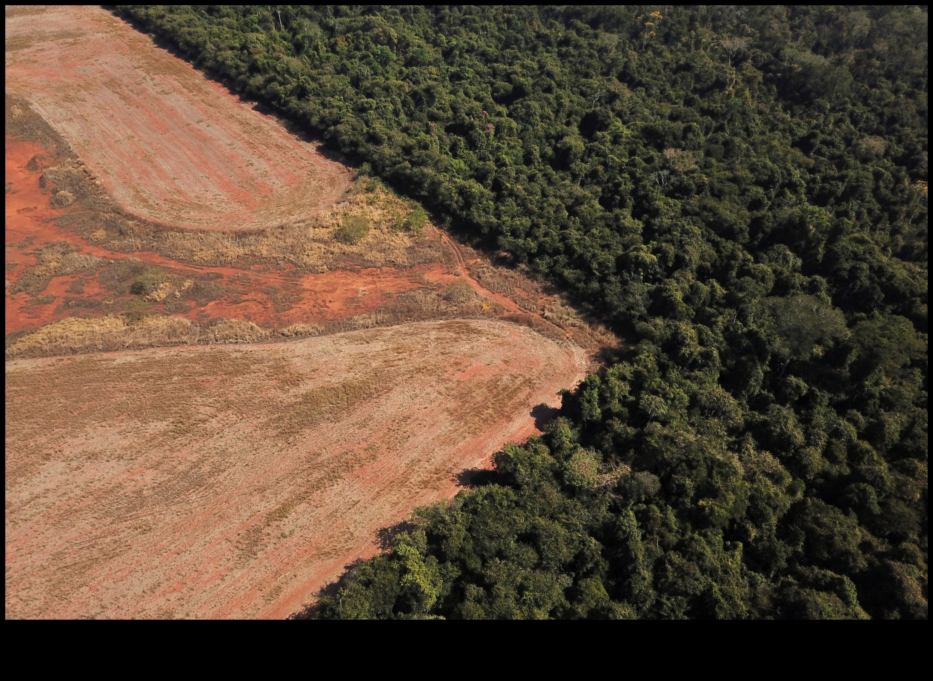 Kāpēc noteiktas ainavas ir vairāk pakļautas mežu izciršanai?