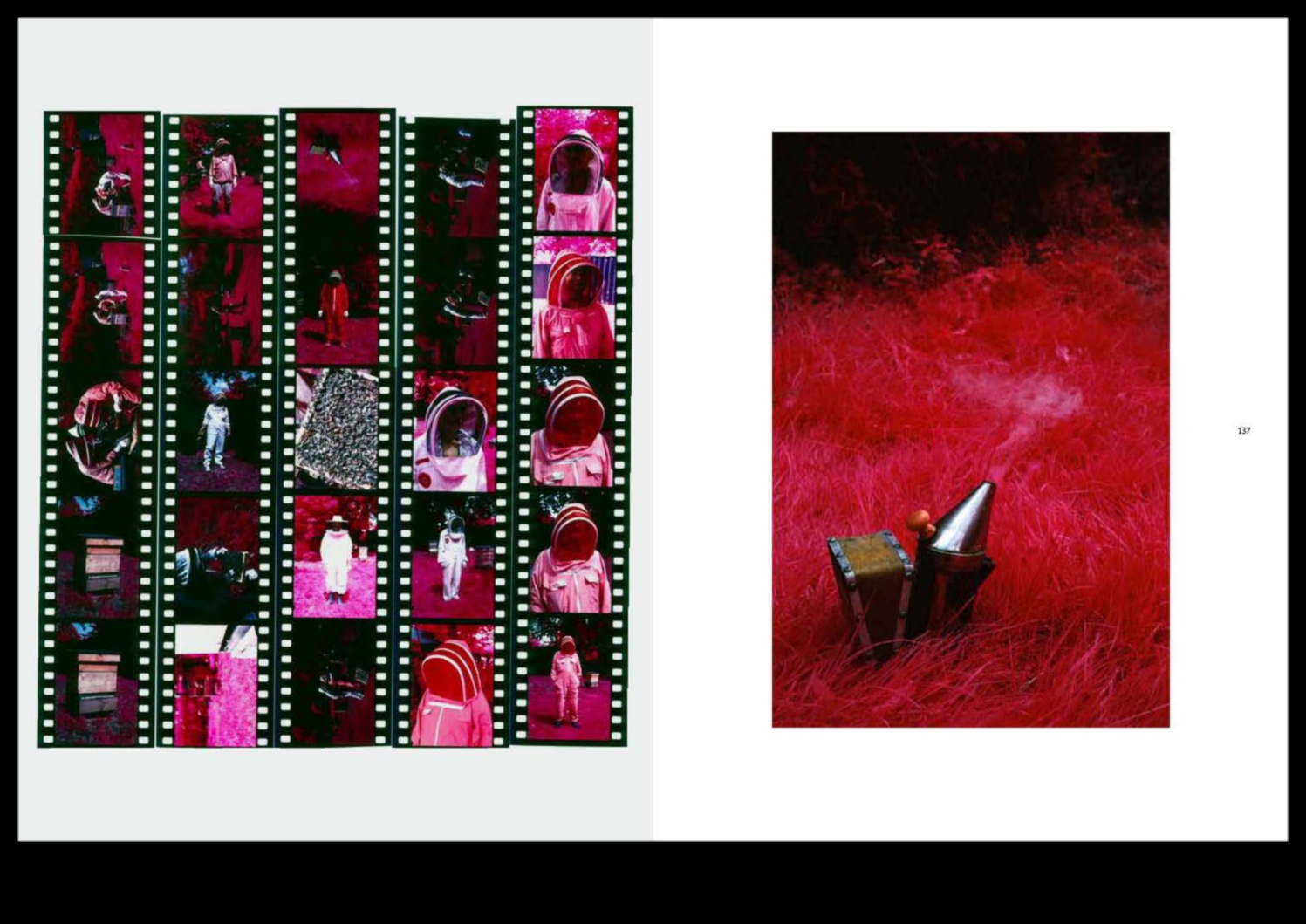 Infrasarkanie iespaidi: atklājiet neredzēto, izmantojot starojošus fotografēšanas stilus