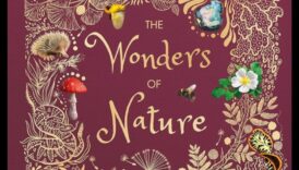 Majestic Vistas: Lielisks Zemes skaisto ainavu skats