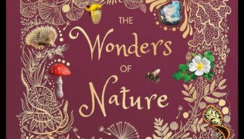 Majestic Vistas: Lielisks Zemes skaisto ainavu skats