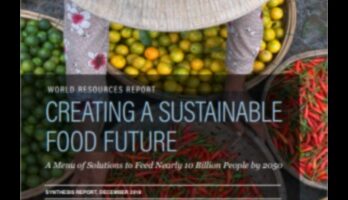 Kā lauksaimniecības ainavas veicina globālo nodrošinātību ar pārtiku?