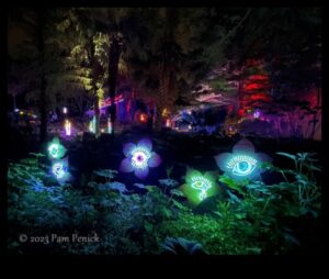 Kvēlojoši dārzi: apgūstiet paņēmienus ziedu skaistuma izgaismošanai