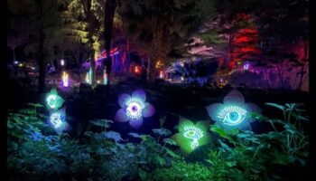 Kvēlojoši dārzi: apgūstiet paņēmienus ziedu skaistuma izgaismošanai