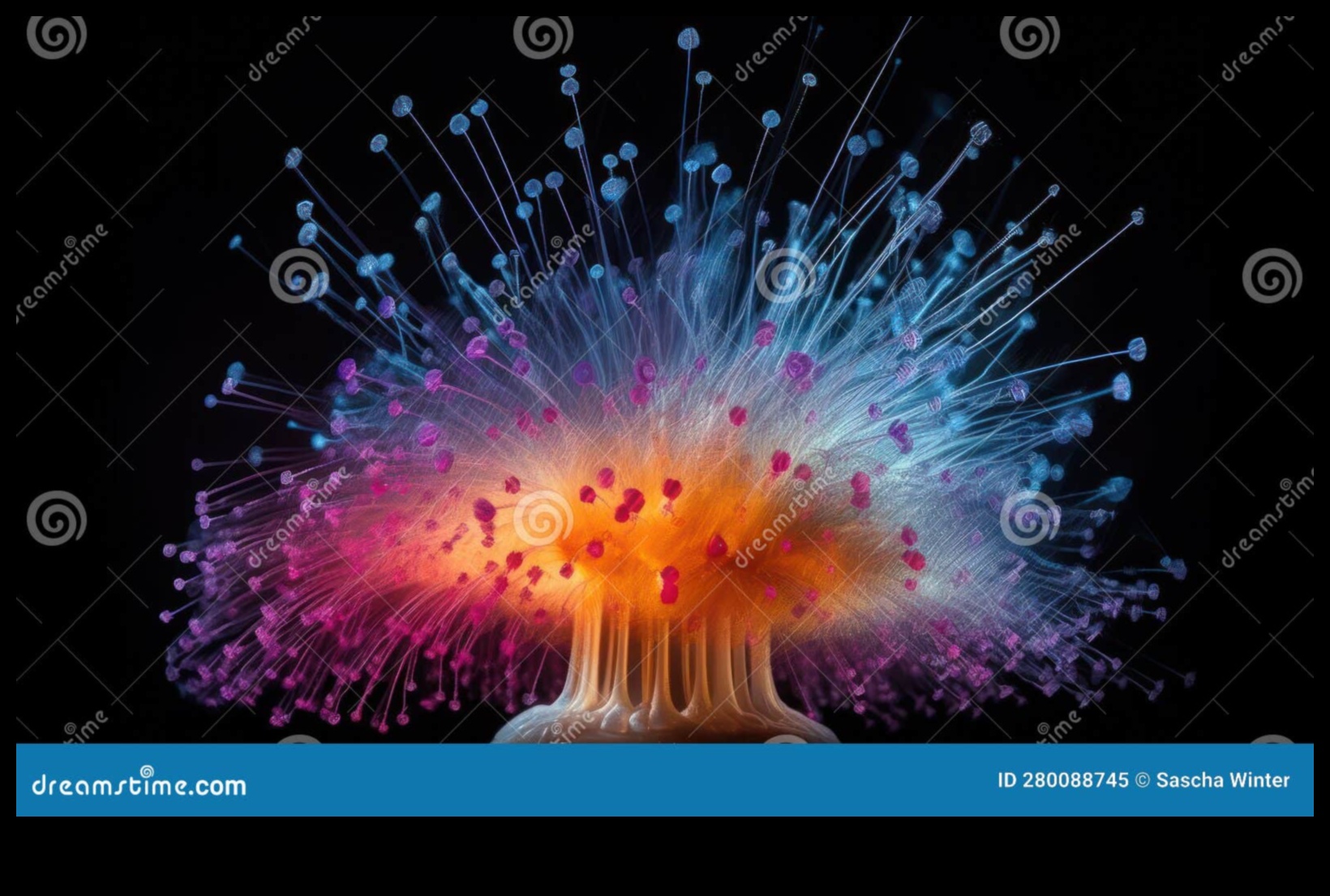 Mikrokosmiskā simfonija: vizuālu šedevru komponēšana ar makroobjektīviem