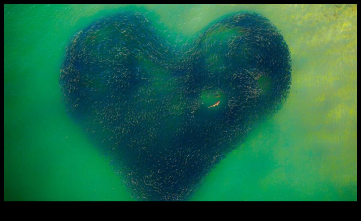 Nākotnes ierāmēšana: ceļojums digitālās fotogrāfijas sirdī