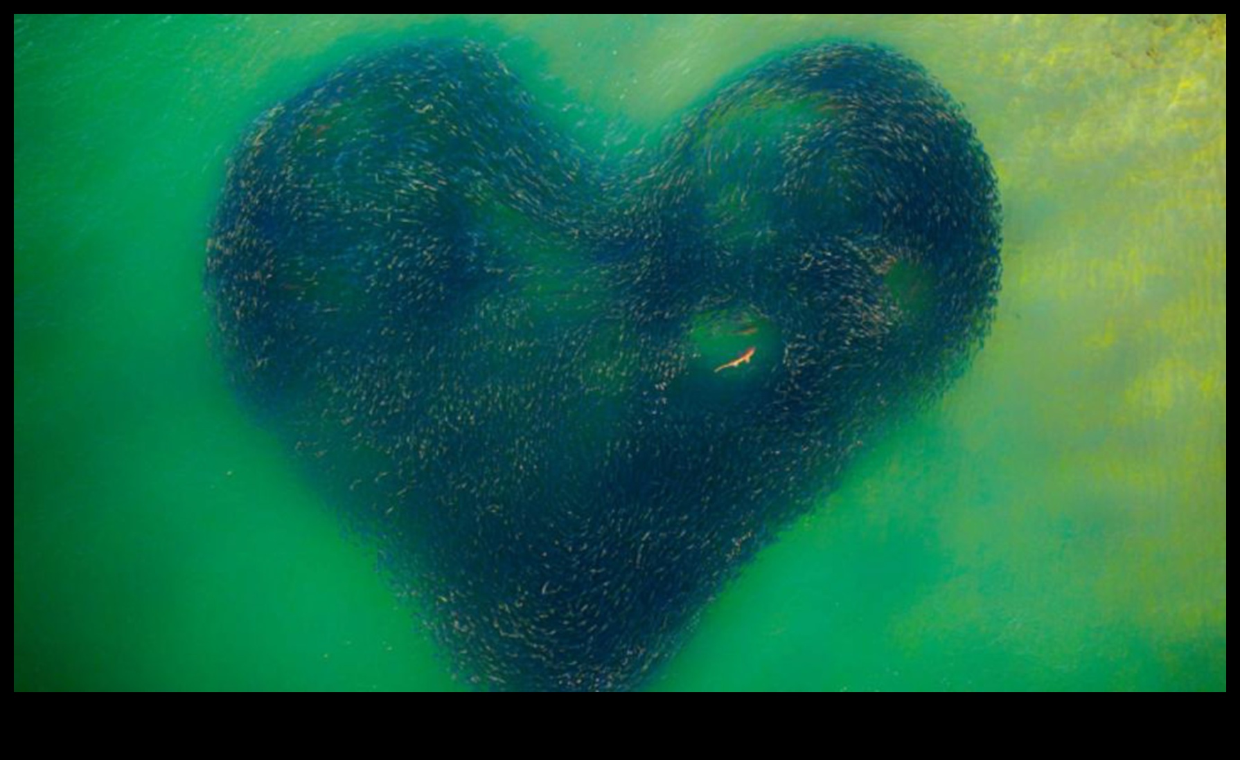 Nākotnes ierāmēšana: ceļojums digitālās fotogrāfijas sirdī