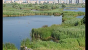 Kādu lomu pilsētas mitrājiem spēlē pilsētas ainavu uzlabošanā?