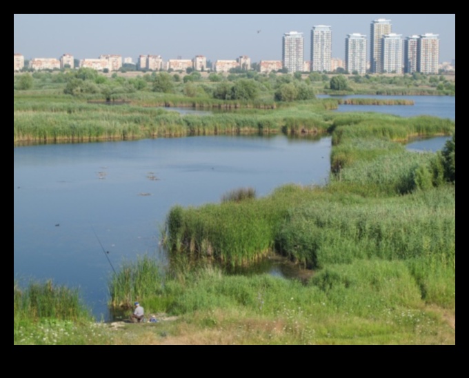 Kādu lomu pilsētas mitrājiem spēlē pilsētas ainavu uzlabošanā?